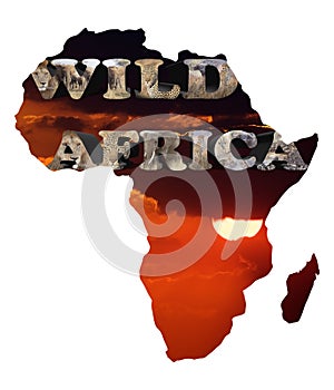 Wild Africa photo