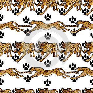 Wild african animals. Cheetah. Hand drawn vector illustration. Seamless pattern. Animalistic print