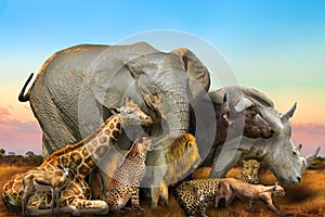 Wild african animals composition