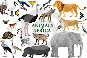Wild african animals set with lion, elephant, ostrich, hippo, hyena, lemur, vulture and monkey