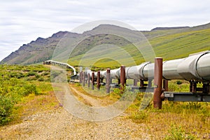 Wild Alaska pipeline