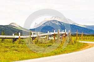 Wild Alaskan pipeline