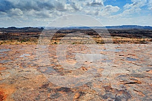 Wild aloe plant in rocky African landscape