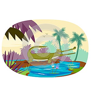 Wild animal Aligator in jungle forest background