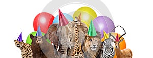 Wild Animal Birthday Party Web Banner