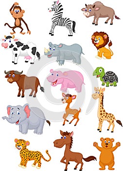 Wild animal cartoon collection photo