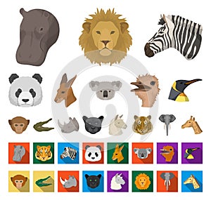 Wild animal cartoon,flat icons in set collection for design. Mammal and bird vector symbol stock web illustration.