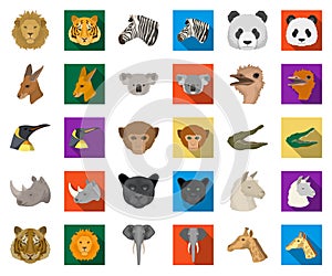 Wild animal cartoon,flat icons in set collection for design. Mammal and bird vector symbol stock web illustration.