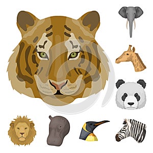 Wild animal cartoon icons in set collection for design. Mammal and bird vector symbol stock web illustration.