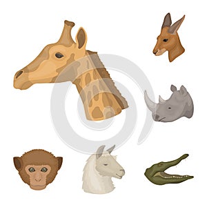 Wild animal cartoon icons in set collection for design. Mammal and bird vector symbol stock web illustration.