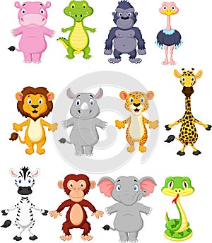 Wild animal cartoon photo