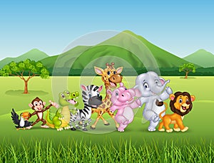 Wild animal cartoon