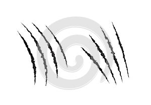 Wild animal claws scratches. Scary laceration paper surface. vector illustration photo