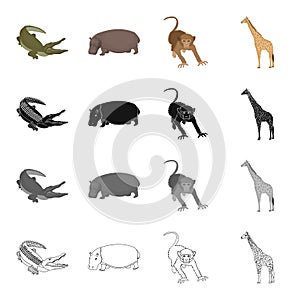 Wild animal, crocodile reptile, hippo, monkey, tall giraffe. Different kind of animal set collection icons in cartoon