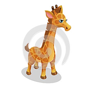 Wild animal cute baby giraffe in isometric style for zoo. Vector illustration.