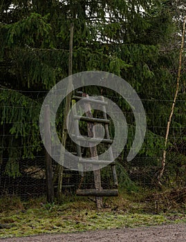 A wild animal fence with a ladder. Dark pine trees in the background. Picture from Scania, Sweden