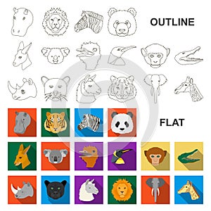 Wild animal flat icons in set collection for design. Mammal and bird vector symbol stock web illustration.