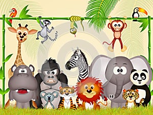 Wild animal in the junle