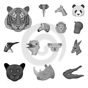 Wild animal monochrome icons in set collection for design. Mammal and bird vector symbol stock web illustration. photo