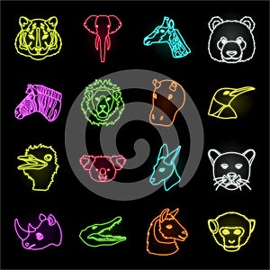 Wild animal neon icons in set collection for design. Mammal and bird vector symbol stock web illustration.