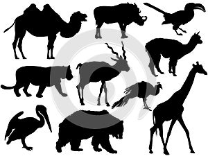 Wild animal silhouettes