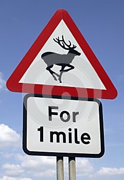 Wild animal warning road traffic sign