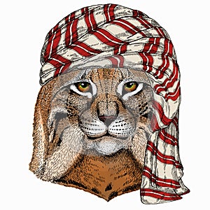 Wild animal wearing keffiyeh or kufiya. Animal head.