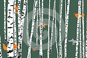 Wild animals in a birch forest