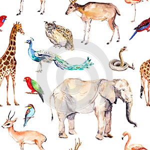 Wild animals and birds - zoo, wildlife - elephant, giraffe, deer, owl, parrot, other . Seamless pattern. Watercolor