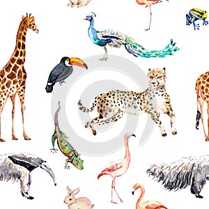 Wild animals and birds - zoo, wildlife - giraffe, cheetah, toucan, flamingo, other. Seamless pattern. Watercolor