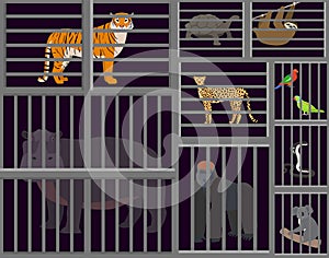 Wild animals in cages vector illustration. Sad animals tiger, hippopotamus, cheetah, gorilla, sloth, turtle, koala
