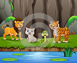 Wild animals cartoon in the jungle