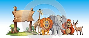 Wild animals cartoon set with wooden sign