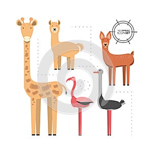 Wild animals design
