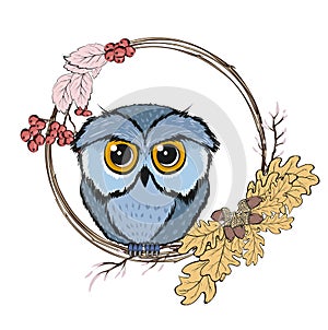 Wild animals and elements thanksgiving day and autumn season. Wild animals and autumn cartoons autumn owl and leaves