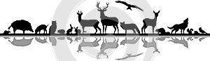 Wild Animals Forest Landscape Vector Silhouette