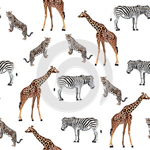 Wild animals giraffe, cheetah, zebra in savannah. Watercolor style  Zoo seamless pattern.