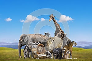 Wild animals group