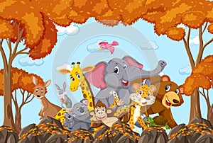 Wild animals group in the autumn forest scene