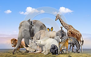 Wild animals group on blue sky background