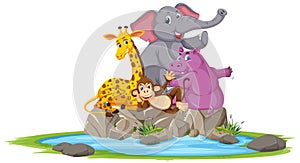 Wild animals group posing on stone cartoon character on white background