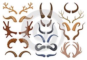 Wild animals horns antlers, reindeer, bull, goat. Hunting trophy deer, ibex, sheep and moose horns isolated vector photo