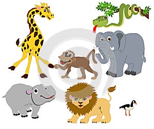 Wild Animals illustrations Isolated for many usage