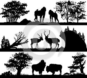 Wild animals (monkey, deer, musk ox) in different habitats