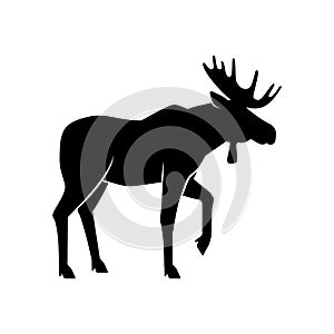 Wild animals. Moose black silhouette on white background
