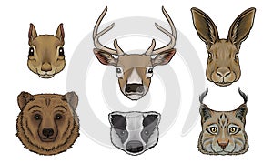 Wild Animals Muzzles Vector Set. Highly Detailed Neb Collection
