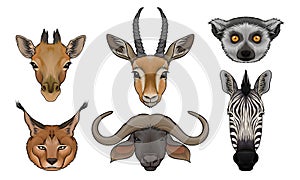 Wild Animals Muzzles Vector Set. Highly Detailed Neb Collection photo