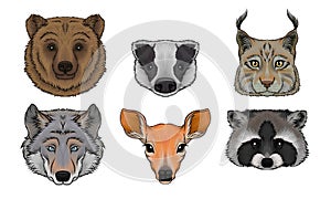 Wild Animals Muzzles Vector Set. Highly Detailed Neb Collection photo