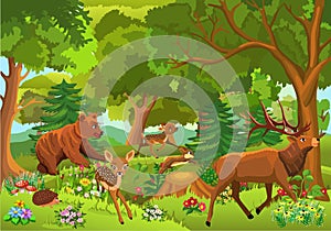 Wild animals playing and running through the forest