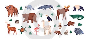 Wild animals set. North and South American fauna. America wildlife, mammals species. Exotic crocodile, llama, porcupine